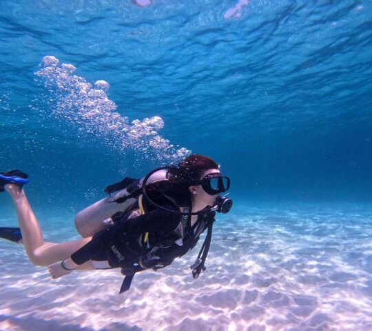 Scuba Diving Tour