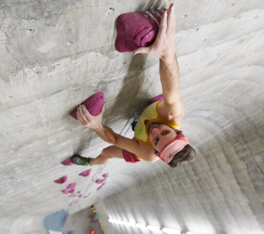 IG Múnich y Südbayern eV. IG Múnich y Südbayern eV.