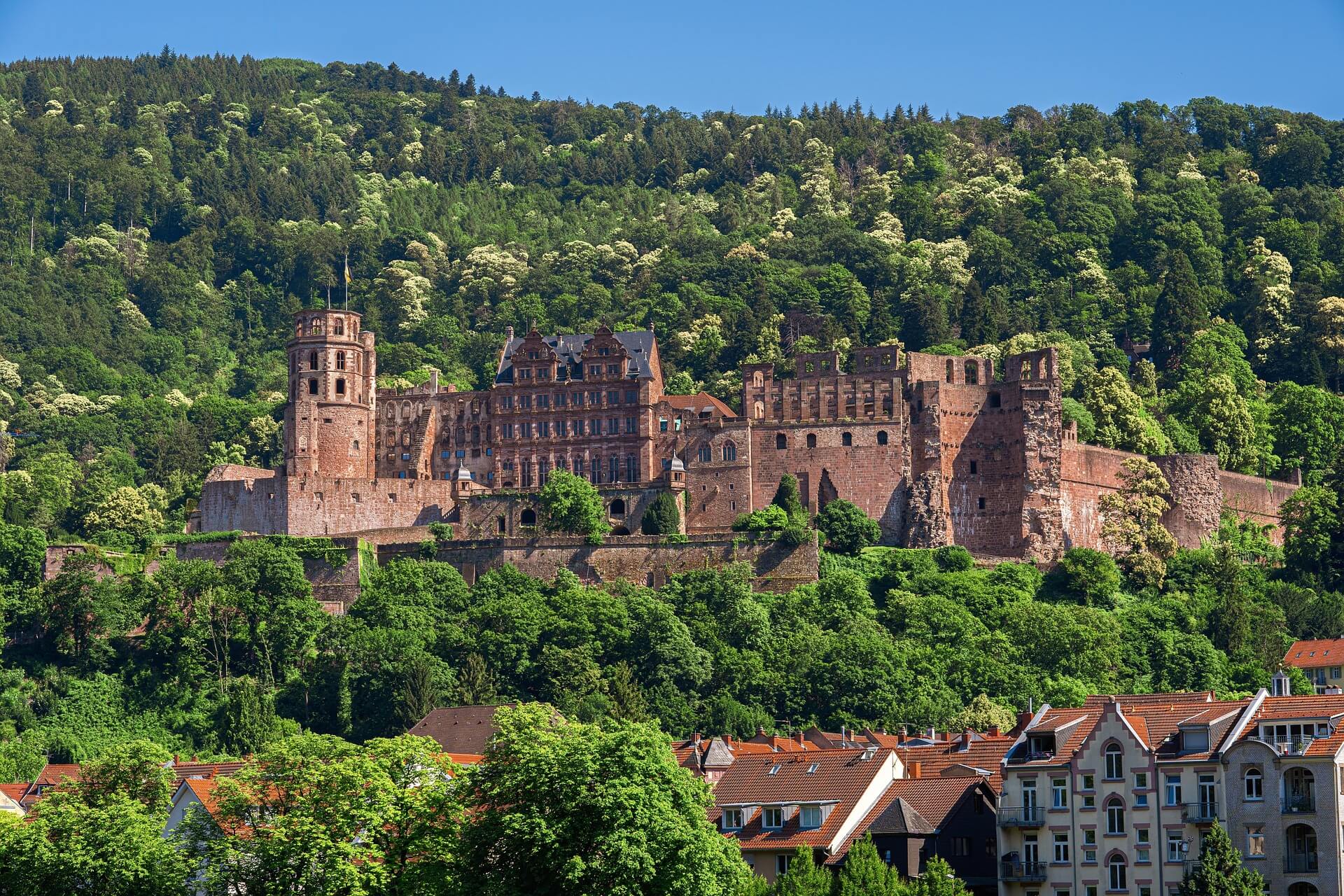 Rhin-Neckar